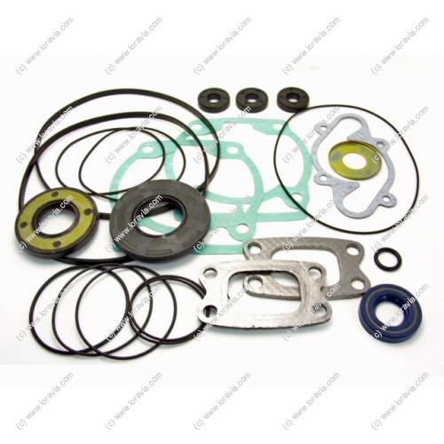 All gaskets necessary to rebuild the Rotax 582 engine