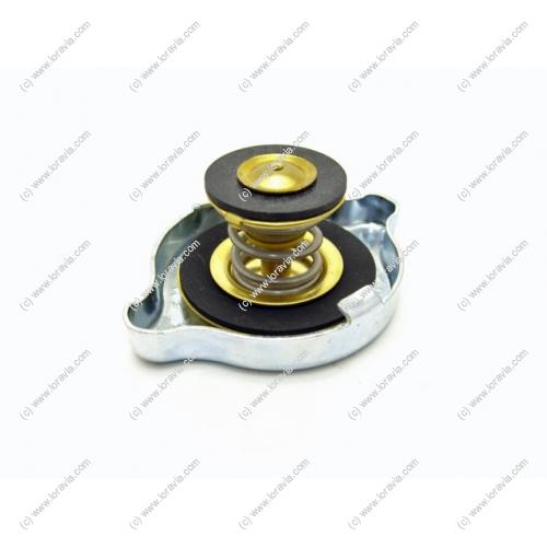 Cap for Expansion Tank for Rotax 912 - 922072