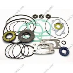 All gaskets required to rebuild the Rotax 532 2 stroke engine