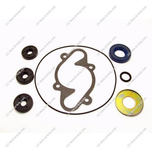Water pump gasket for Rotax 582 and 532 engines