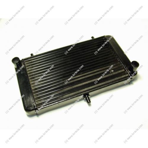 Large ADAPTABLE radiator for water circuit. For use with Rotax 9-Series engines  size 41 x 19.5 cm  Part #107103